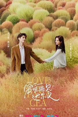 师父结局解析海报剧照